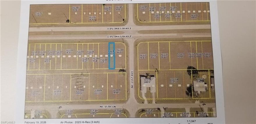 commercial lot not far off of Pine Island Rd.