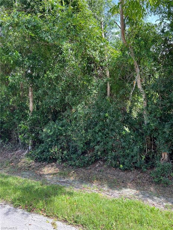 PINE ISLAND CENTER - Land