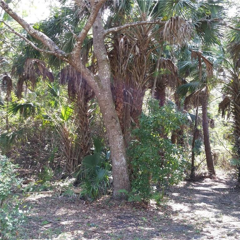 GOLDEN GATE ESTATES - Land