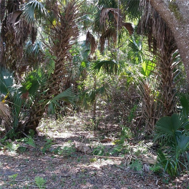 GOLDEN GATE ESTATES - Land