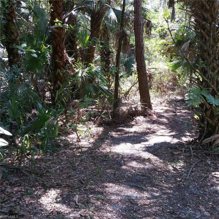 GOLDEN GATE ESTATES - Land