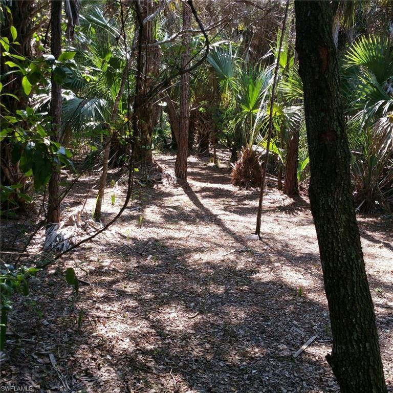 GOLDEN GATE ESTATES - Land