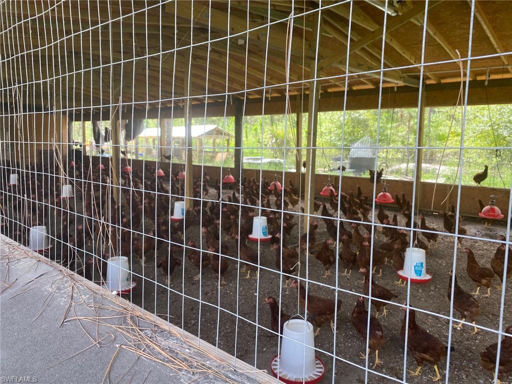 PIONEER PLANTATION - Residential