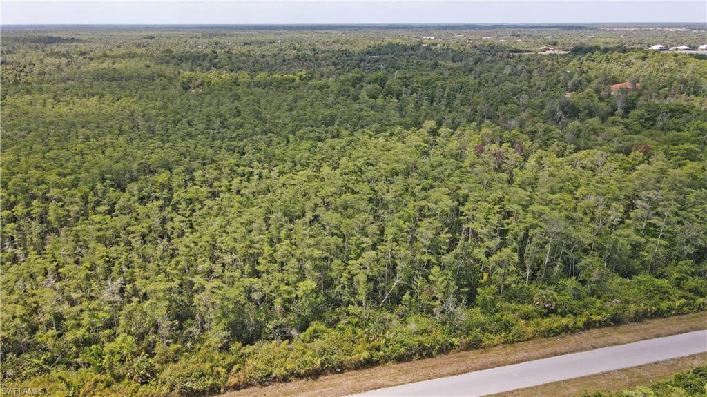 GOLDEN GATE ESTATES - Land