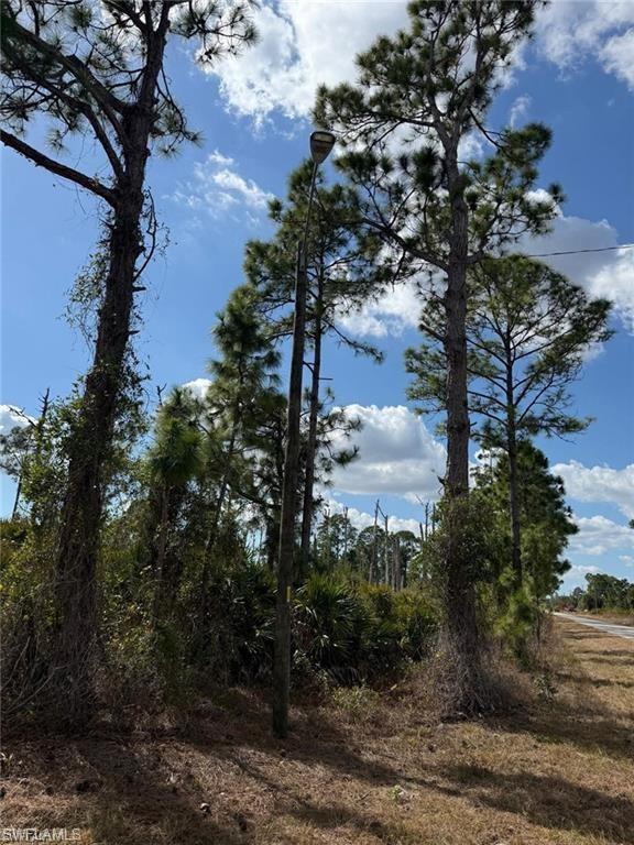 1116 Plantation RD