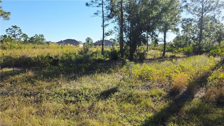 Great time to invest in land! completely clean ready to build the house of your dream or simply buy a real asset! This oversized lot .50 acre, a very quiet neighborhood of Lehigh Acres, easy access to everything.