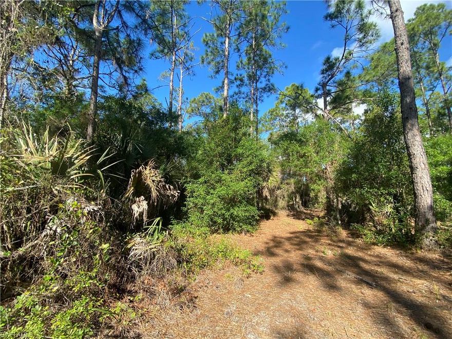 Build your new home on this oversized parcel in Lehigh Acres. Just a short drive to the airport, I-75, beaches, restaurants, and shopping.