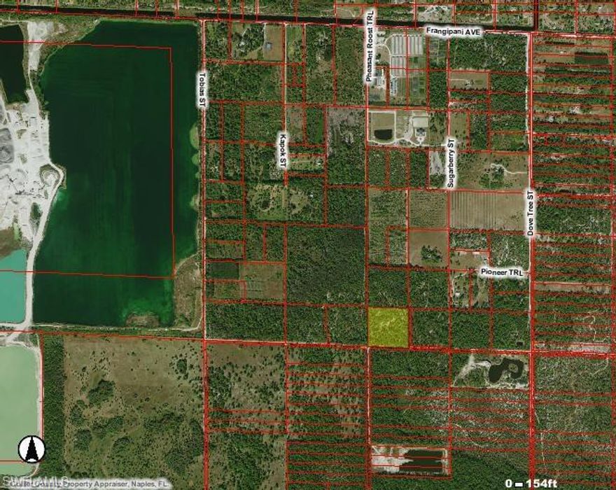 20 ACRES:  TWO PARCELS OF 10 ACRES EACH. TWO PID NUMBERS.  THIS LAND AND THE SURROUNDING LAND LOOKS TO BE HIGH AND DRY.  PINES AND CABBAGE PALMS. LAND USE CAN ONLY BE DETERMINED BY THE COUNTY, BUT MAY POSSIBLY BE NURSERY – BEE KEEPING – LIVESTOCK RAISING – AQUACULTURAL (NATIVE SPECIES ONLY) – RANCHING   AND FORESTRY GROWTH.  LAND SURROUNDING THIS PROPERTY IS BEING USED FOR GRAZING CATTLE – FISH FARM and LIVE STOCK/HORSES.  BEFORE INVESTING, BUYER MUST FIND OUT FROM COLLIER COUNTY IF THE LAND CAN BE USED FOR THE PURPOSE THE BUYER INTENDS.
