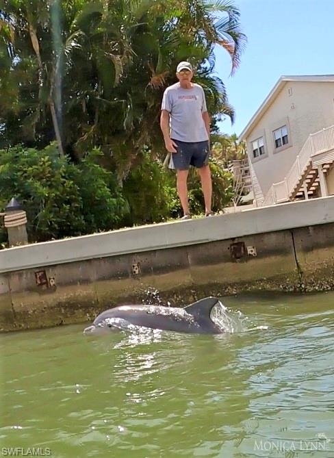 ISLAND SHORES - Land