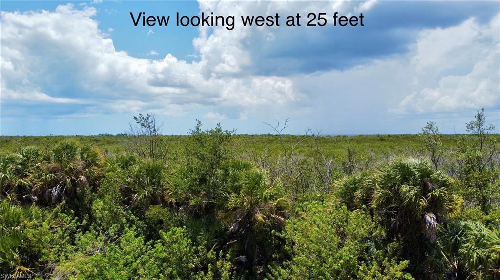BURNT STORE LAKES - Land