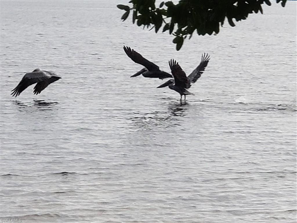 PINE ISLAND TROPICAL HOMESITES - Land