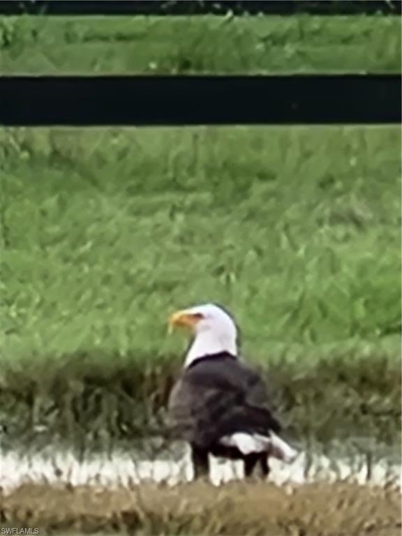 PINE ISLAND TROPICAL HOMESITES - Land