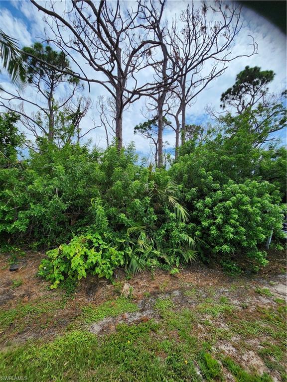 PINE ISLAND TROPICAL HOMESITES - Land
