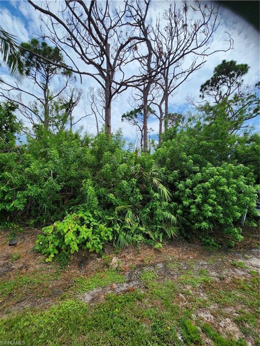 Experience the dream of building your new home on an island. Just imagine living in the artistic, agricultural relaxed charm of Pine Island with your home among palm and tropical fruit trees. This property offers more privacy than most in this street. The neighborhood is very friendly, quiet, has paved roads and nice homes plus no restrictions on parking boats or RV's on your property once your home is built.  Pine Island has so much to offer with its Gulf access to world class fishing, bird watching and abundant native wildlife, not to mention historical sites.  It also has several county parks (one within a short walking distance where you can launch small craft or picnic there), kayak and hiking trails, a library, great restaurants and a bike path. If you love nature or fishing, or are simply seeking peace and quiet, Pine Island is your perfect paradise. It is time to start living on "Island Time".  This is a great price for this parcel of land so don't let it pass by.