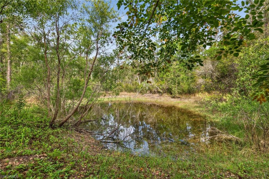 FORT MYERS - Residential