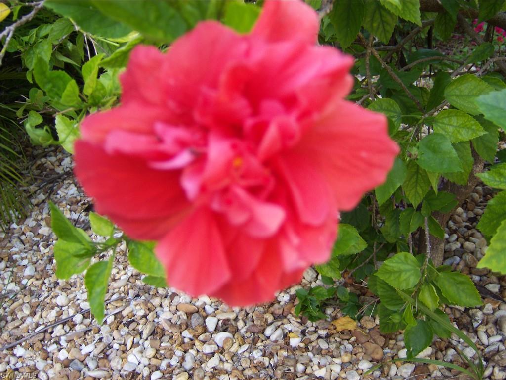 SEAGRAPE - Residential