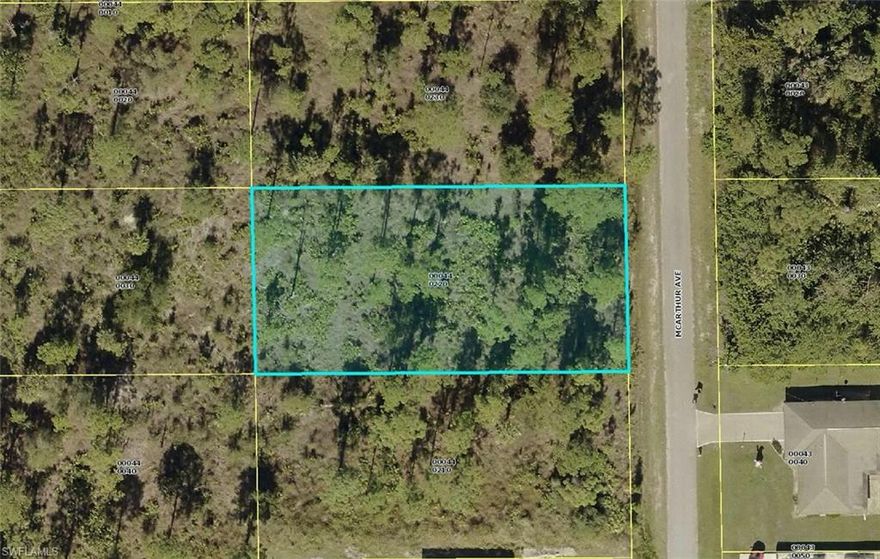 1/2 lot in desirable and growing area of Lehigh.  The lot next door is also for sale to make 1 acre to build your dream home!
