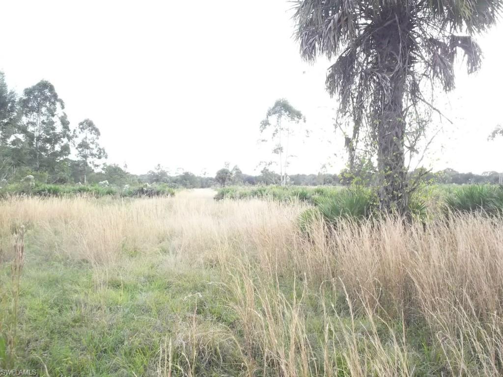 LAKE SUZY - Residential