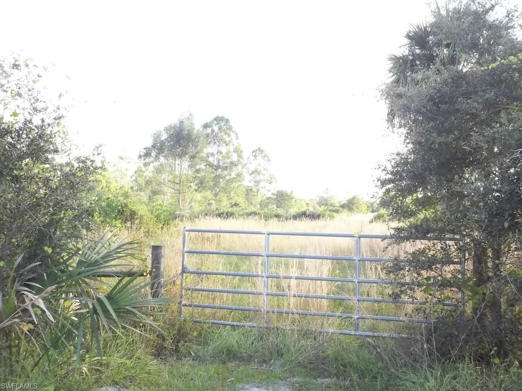 LAKE SUZY - Residential