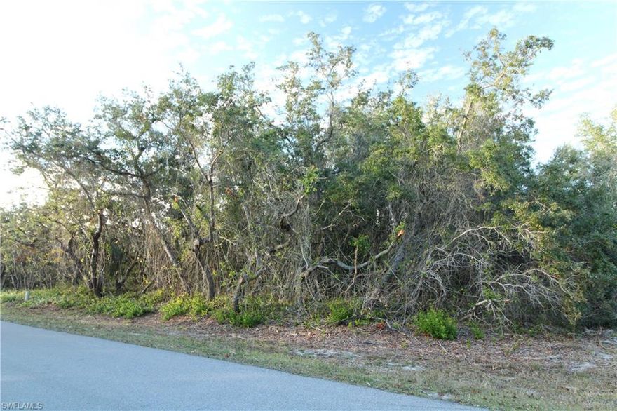 Just about 12 miles outside of downtown Punta Gorda is the quaint little community of Peace River Shores. Located off the main HWY 17, makes for easy navigation to I-75, the Punta Gorda Airport and many different options for shopping, dining and most of all fishing!! This community offers a voluntary social membership which gives the owner the opportunity to use the community boat ramp, expansive waterfront park, picnic tables, grilles and all the fishing you can handle on John Long Lake. This lake feeds into the Peace River which leads to the Charlotte Harbor and on down to the Gulf of Mexico. This is available for a one time membership fee of $250.00 and then approx. $75.00 per year there after. This is a great single family corner lot and waiting for your plans to build. This won't last long in this up and coming community! There also is an opportunity to buy the lot backed up to this one, MLS#222005584 and own the whole block from Richlawn Ave. to Wilmers Rd.
Call and get more info today!!