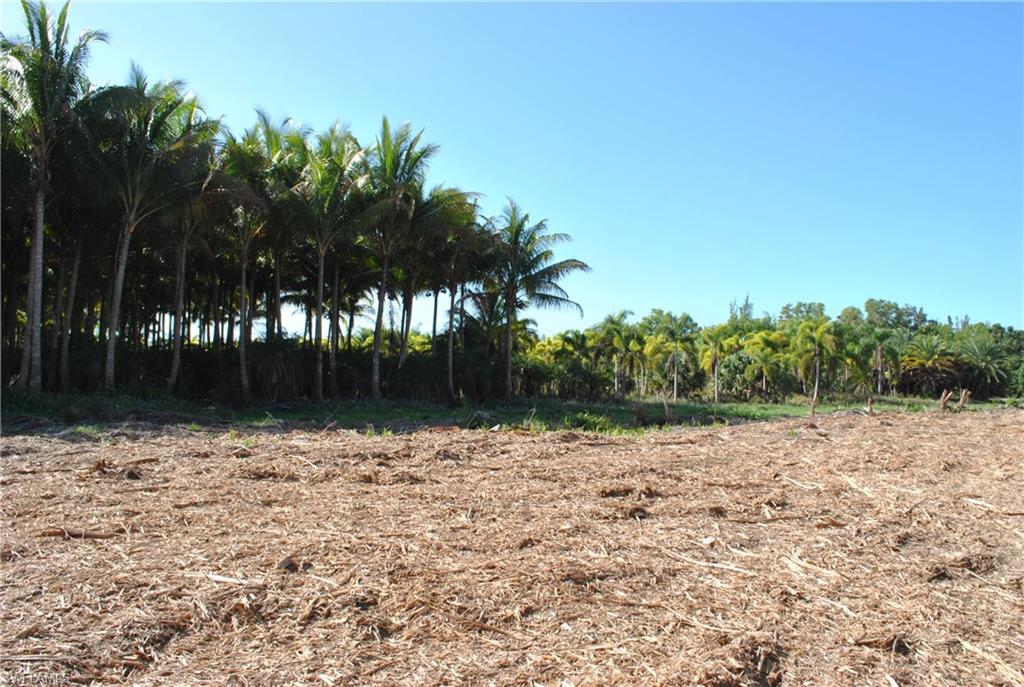 KREAMERS AVOCADO SUBD - Land