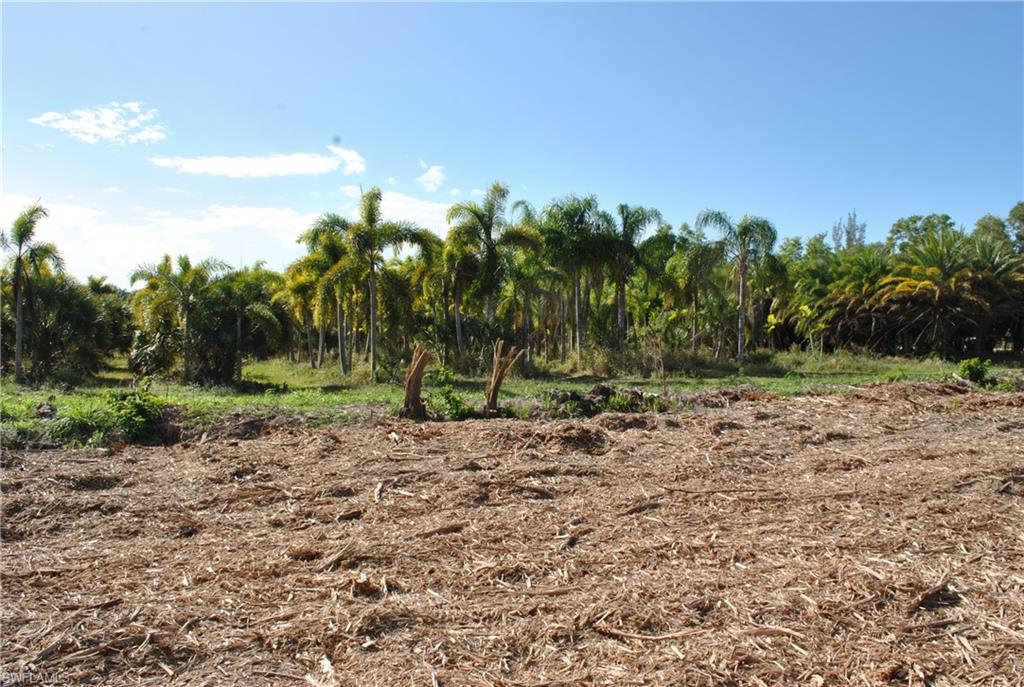 KREAMERS AVOCADO SUBD - Land