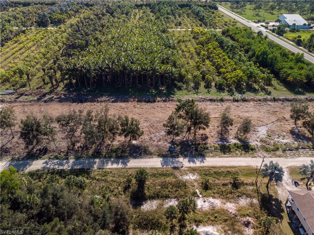 KREAMERS AVOCADO SUBD - Land