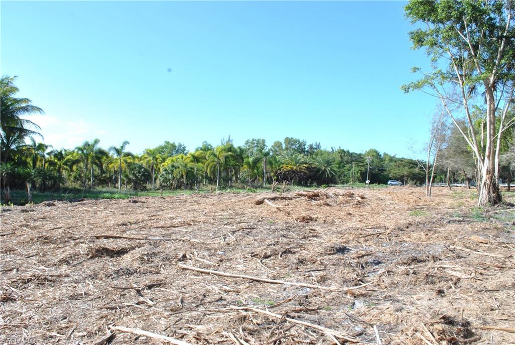 KREAMERS AVOCADO SUBD - Land