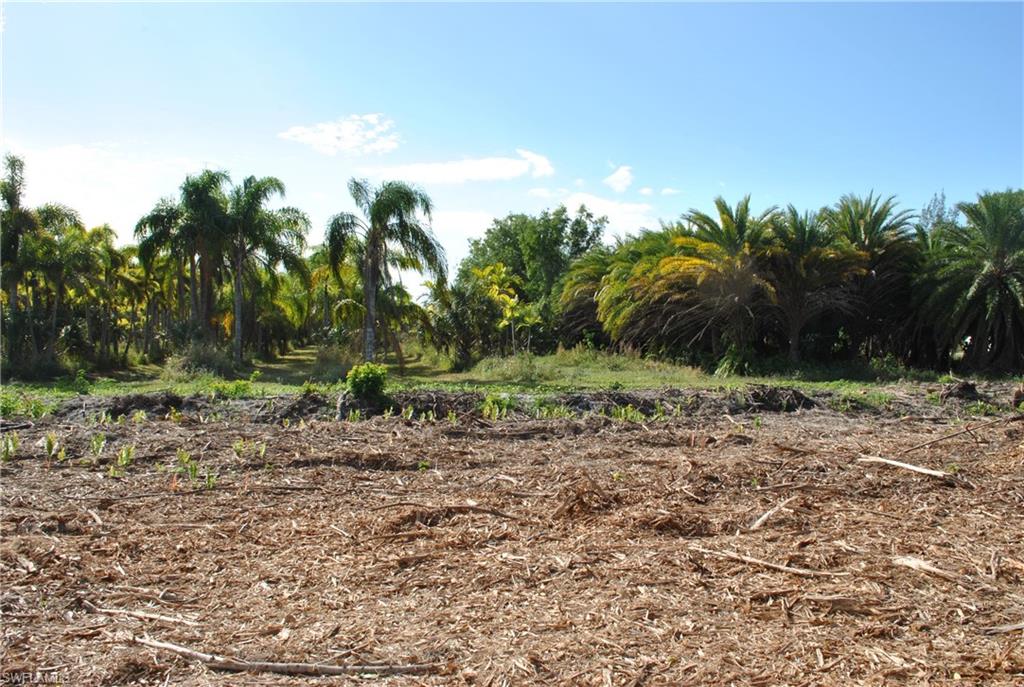 KREAMERS AVOCADO SUBD - Land