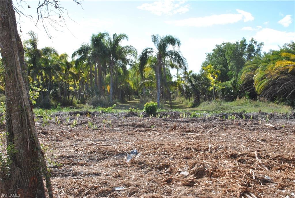 KREAMERS AVOCADO SUBD - Land