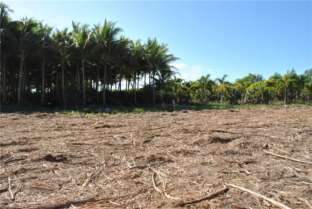 KREAMERS AVOCADO SUBD - Land