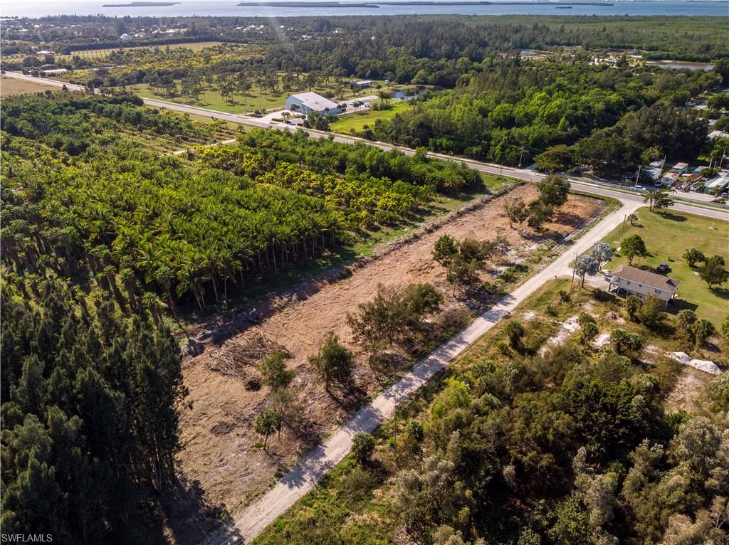 KREAMERS AVOCADO SUBD - Land