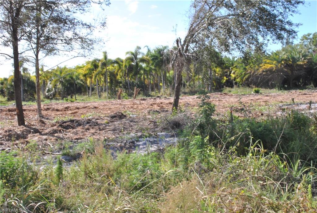 KREAMERS AVOCADO SUBD - Land