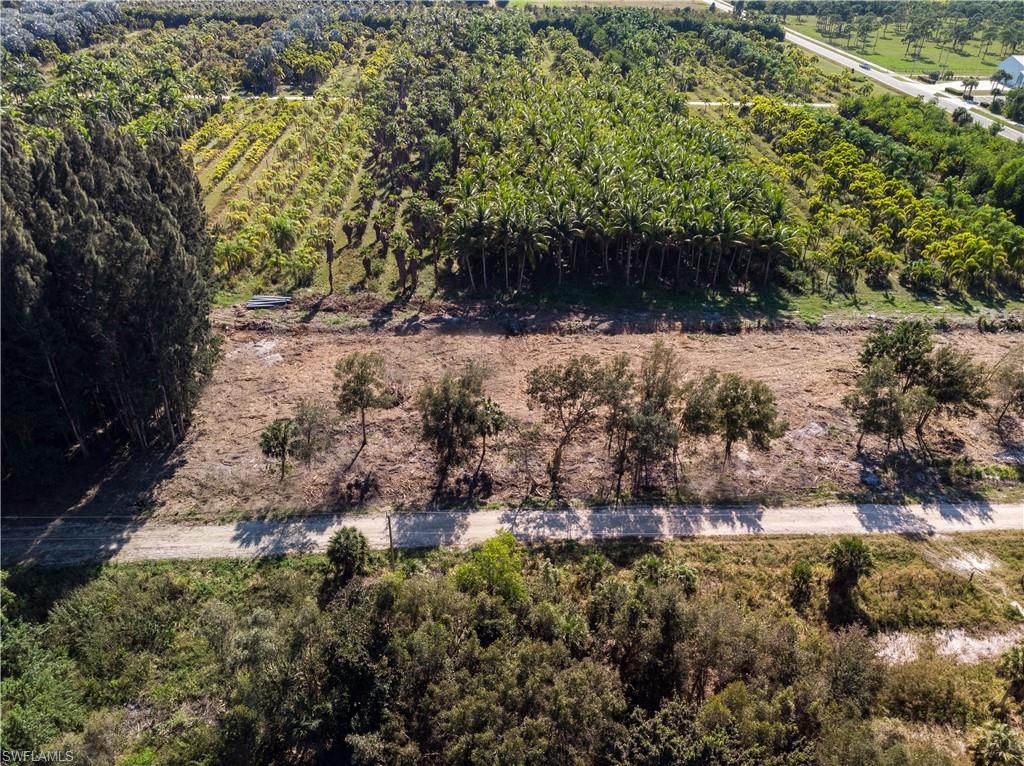 KREAMERS AVOCADO SUBD - Land