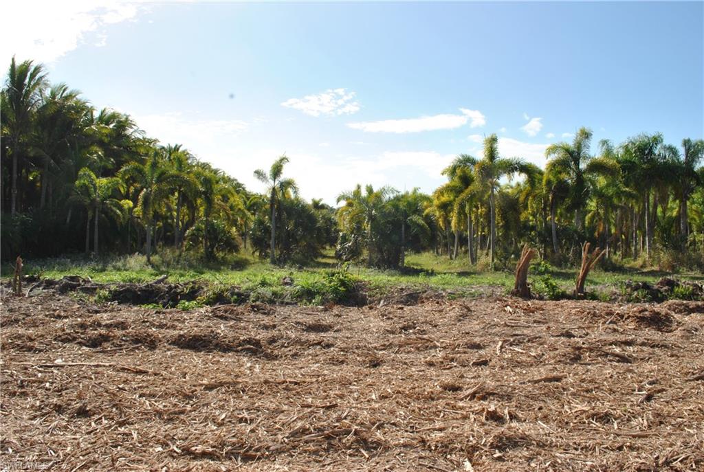 KREAMERS AVOCADO SUBD - Land