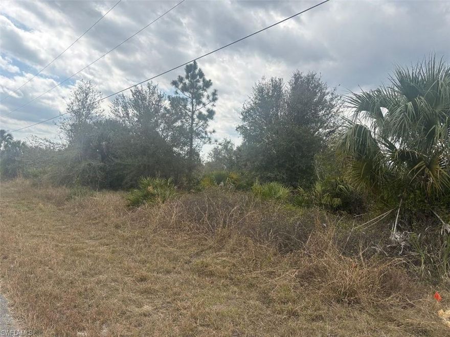 POSSIBLE ACRE...913 Maple also available. Beautiful half acre lot 105 feet x 208 feet. (per county). Build your dream home or invest for the future. One of the fastest growing community in southwest Florida. This lot is close to downtown Lehigh Acres shopping, schools, churches and hospital. Only two miles to community park, swimming pool and bus barn. 913 Maple also available. Would be a full acres with both lots.