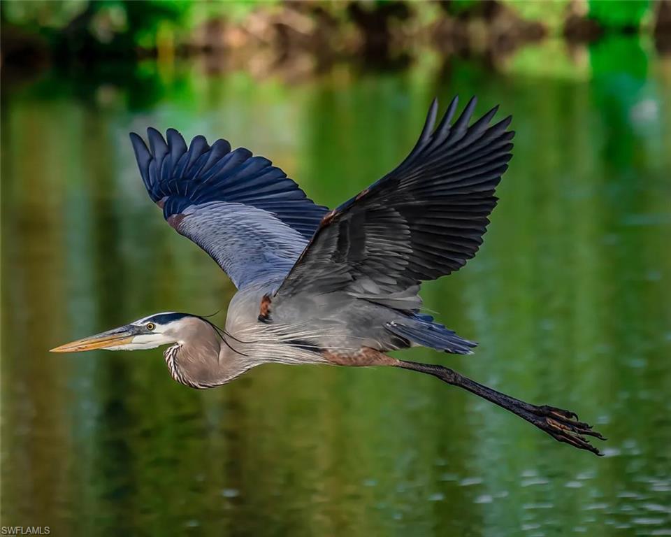 COLLIERS RESERVE - Residential