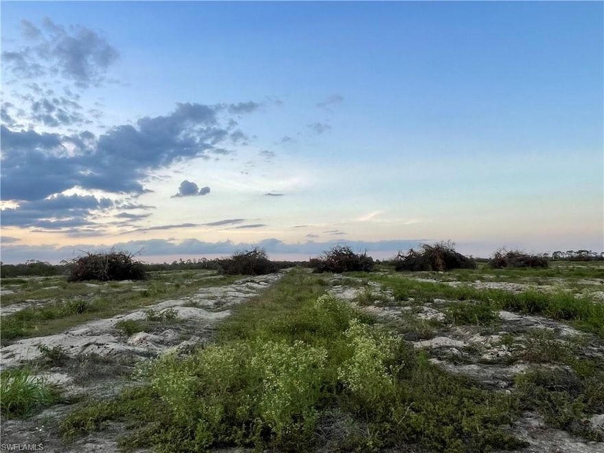 13.34 +/- Acres of cleared land in Gerber Groves Section 1. Located near the west end of 6th Road, this is a quieter, more private area of Gerber. There are a variety of possibilities for this property, including transitioning to a farm, ranch, or country homestead. Lots of tropicals being grown in the area....mangos, lychees, longans, bananas, papayas, dragon fruit, passion fruit and even bamboo. Canal on north side of the property can be used for irrigation. Property is in the Gerber Water District and subject to the Water District tax which is collected by the Hendry County Tax Collector and is used to maintain the roads, canals, and employ security. The roads are private and customers must be accompanied by their realtor to avoid expulsion by security. Additional parcels available in increments of 13.34+/- acres.