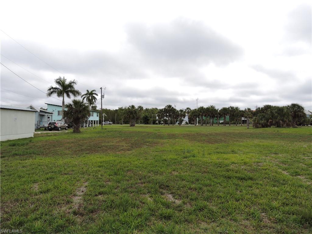 EVERGLADES TOWN - Land