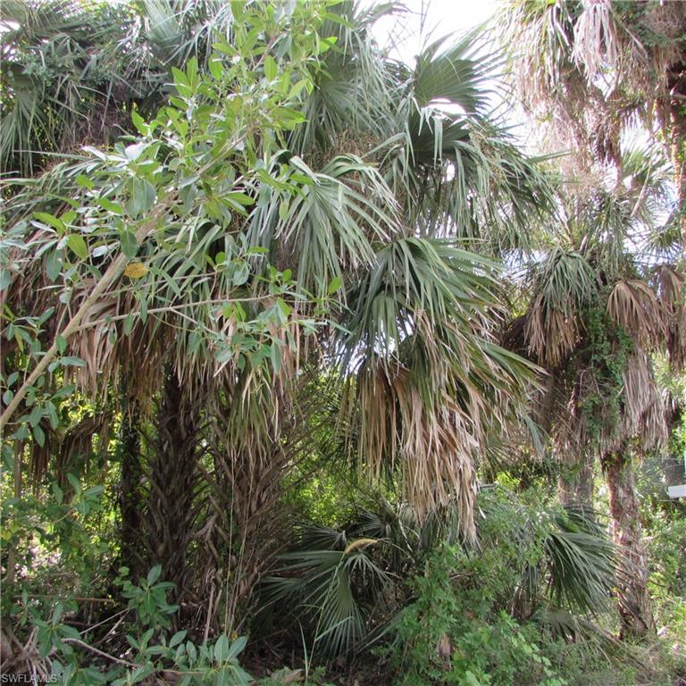 CASTILE ACRES UNRECORDED SUBDIVISION - Land