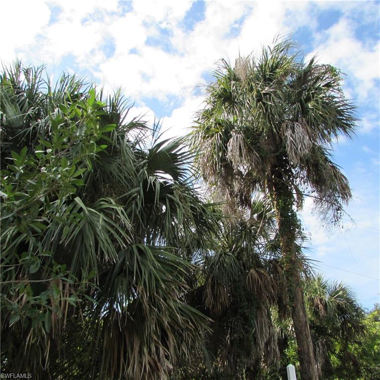 CASTILE ACRES UNRECORDED SUBDIVISION - Land