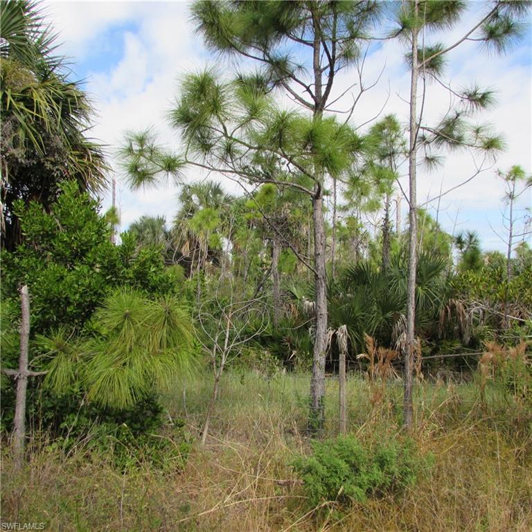 CASTILE ACRES UNRECORDED SUBDIVISION - Land