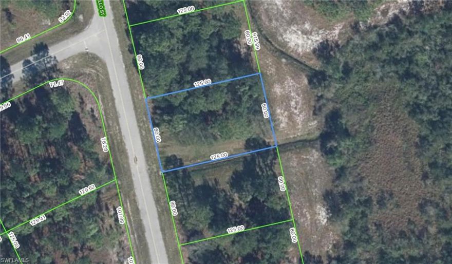Beautiful SINGLE FAMILY LOT available in the charming community of Sun N' Lakes. Great opportunity to build the home of your DREAMS! This lot has CITY WATER, CITY SEWER, PAVED ROADS, FLOOD ZONE X,AND ELECTRICAL AVAILABLE - just bring your site plan and build the property of your dreams! BOND and Assessments will be paid by seller at closing. This lot is in the heart of one of the fastest growing communities in Sebring and its easy to see why as the community has so much to offer. Recreational activities for the whole family! Two 18 hole championship golf courses, amazing pools, fitness center, tennis and pickleball courts, dog park, playgrounds, and multiple pavilions for special events - this community has it all within a short golf cart ride away!