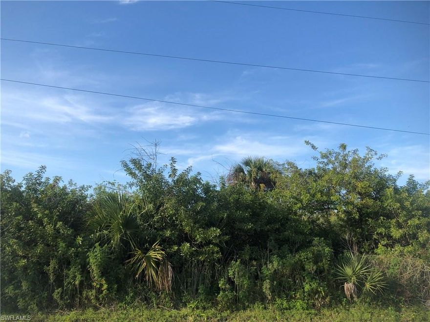 LOOKING FOR UPLANDS!!! Environmental Report shows UPLANDS in front of property!!! Environmental Report
Shows 0.34 acres of Uplands and is attached to this Listing! Perfect location for a fast commute back to town, and the Beaches via Golden Gate Blvd which is being widened! Bring your Horses, 4 Wheelers, and Motorized Toys! NO HOA FEES AND NO RULES OR REGULATIONS!