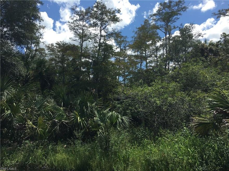 Great opportunity to own land so close to the new Publix and $50M park being built.   Builders and investers dream!  Such convenience and a fantastic opportunity.  This lot is designated in Flood Zone X - flood insurance should not be required - verify with county and other companies.  DEP is availble by request.  Buyers advised to conduct their own updated environmental and surveys to ensure buyer suitability.  Most recent survey was conducted in 2006 showing some wetlands per the DEP report.  Buyer to verify all information.  Motivated seller!  Don't miss out!