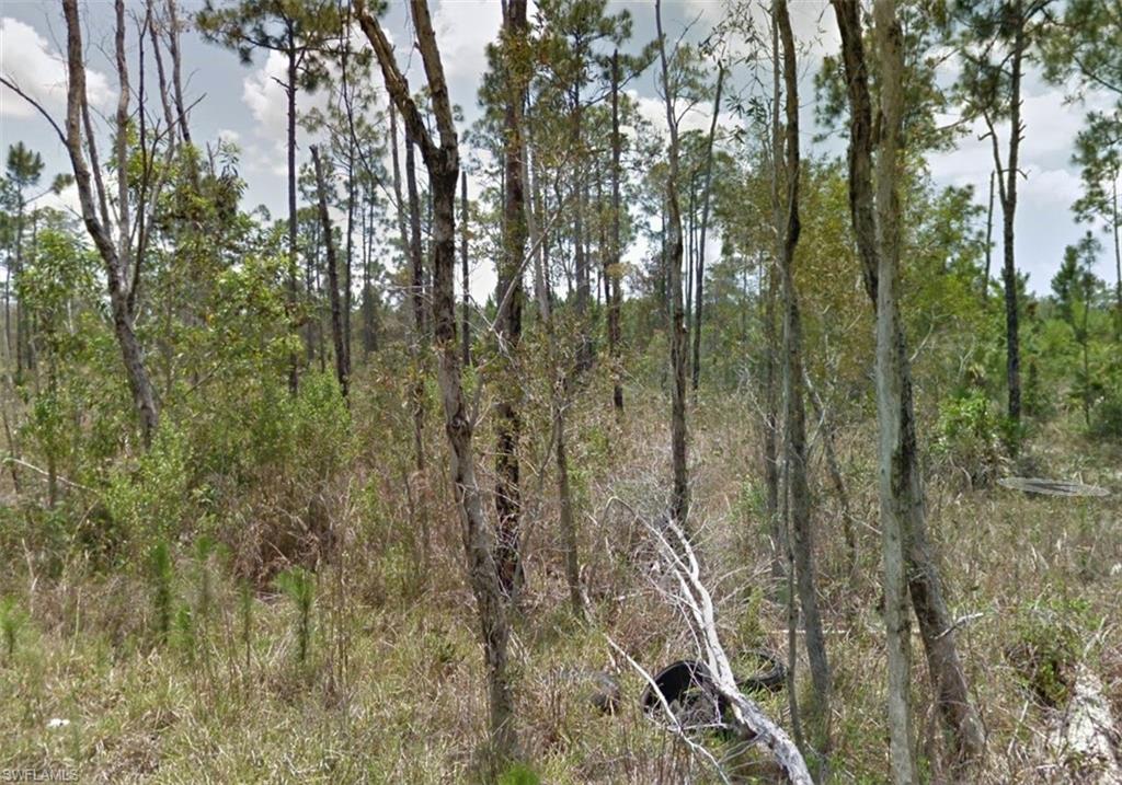 NORTH FORT MYERS - Land