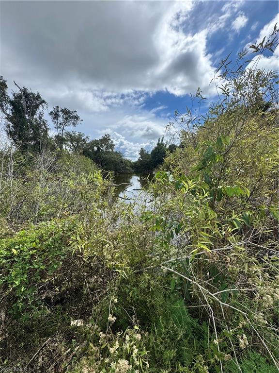 KREAMERS AVOCADO UNREC - Land