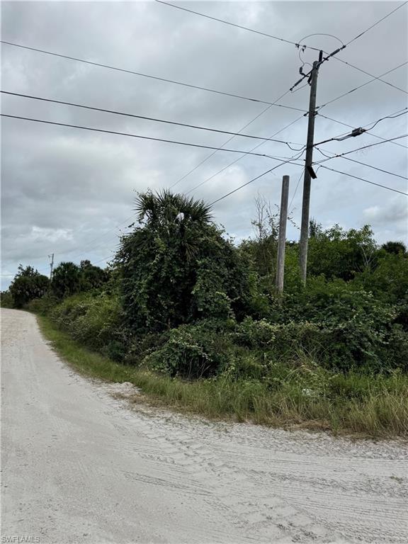 KREAMERS AVOCADO UNREC - Land