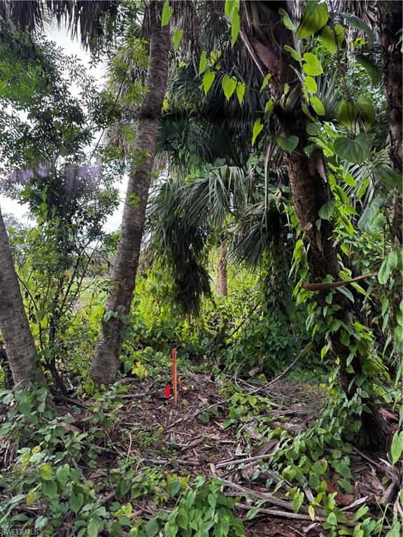 KREAMERS AVOCADO UNREC - Land