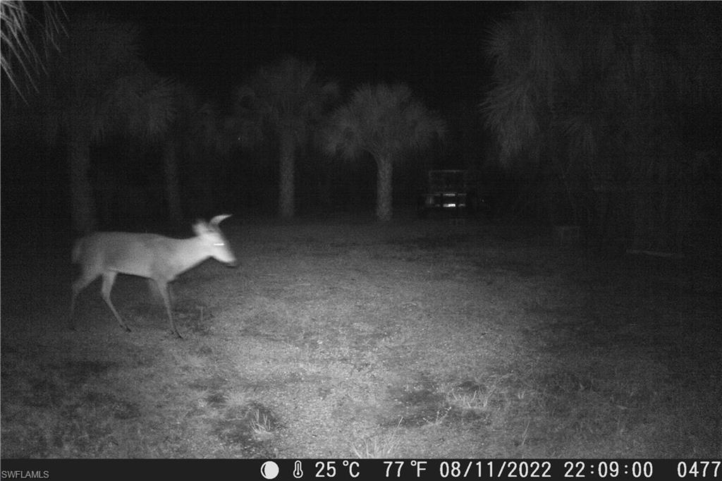 GOLDEN RANCHES - Land